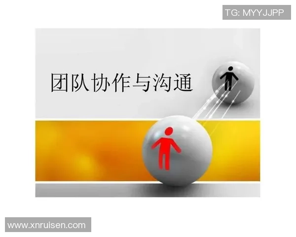 北京羽毛球队在冠军赛中的团队协作表现分析与启示