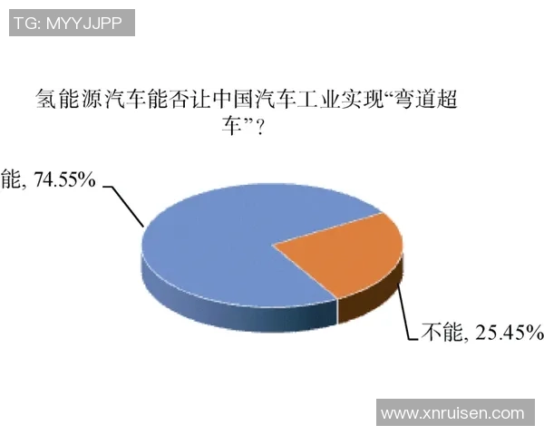南京排球队个人能力分析与发展策略探讨 南京排球队个人能力分析与发展策略探讨