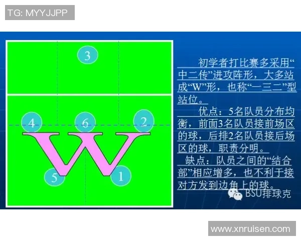 广州羽毛球队速度对比深度解析与战术优势探讨